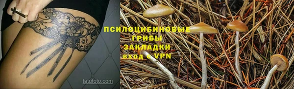 СК Белокуриха