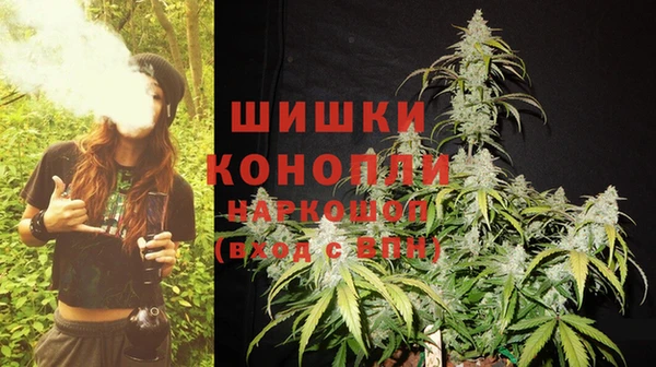 СК Белокуриха